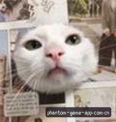 赵健